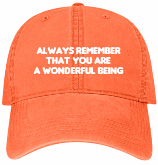 HATS-PRE-ORDER: YOU ARE WONDERFUL-TERRA COTTA