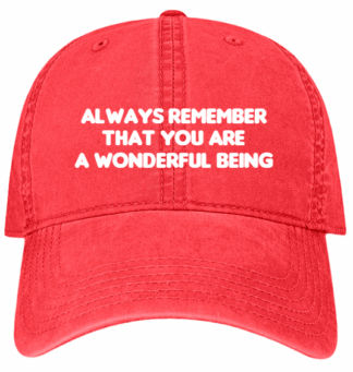 HATS-PRE-ORDER: YOU ARE WONDERFUL-WEATHERED RED